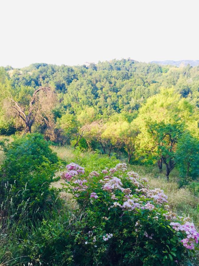 Prasco B&B Al Giardino Dei Mandorli מראה חיצוני תמונה