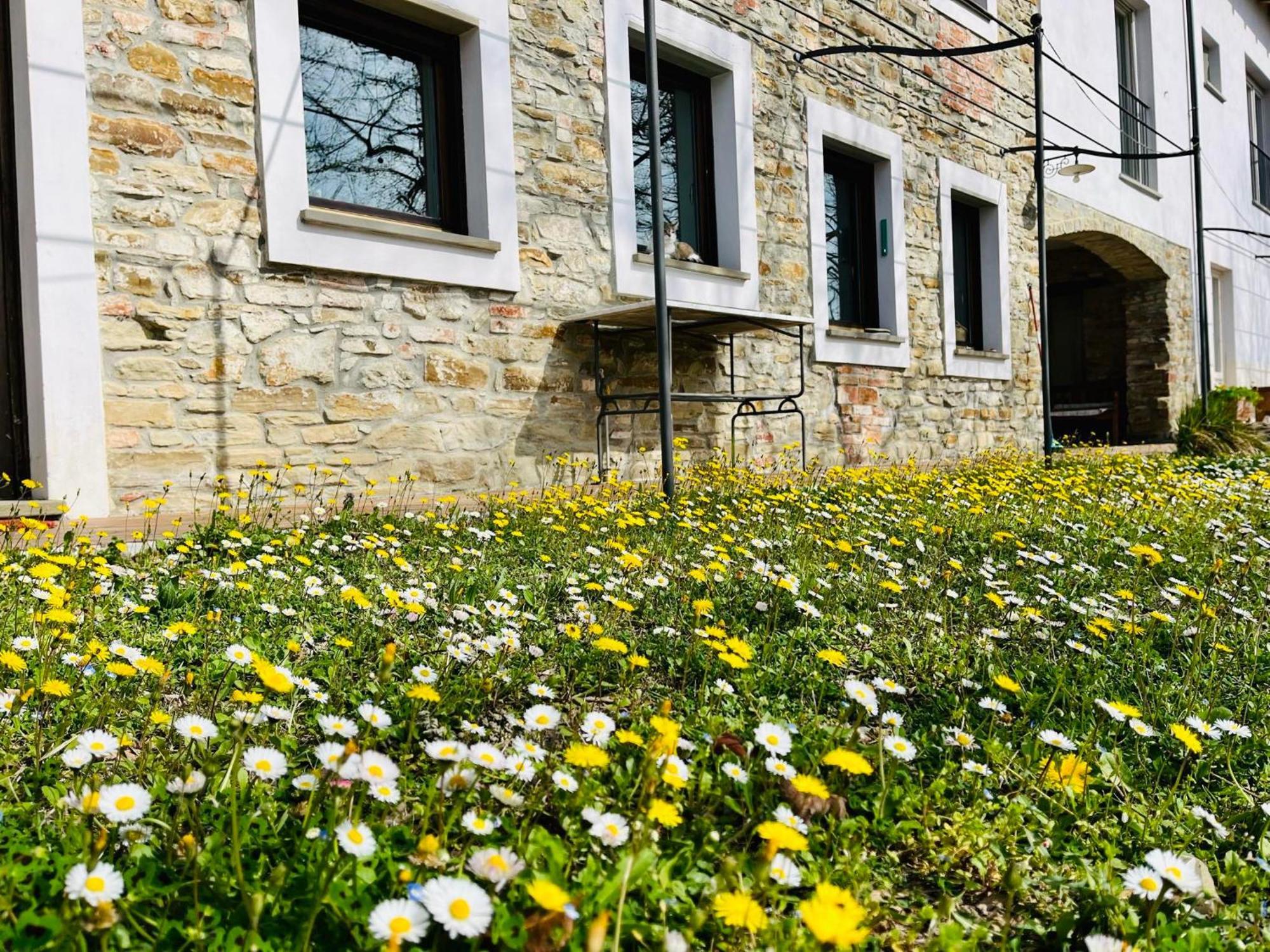 Prasco B&B Al Giardino Dei Mandorli מראה חיצוני תמונה